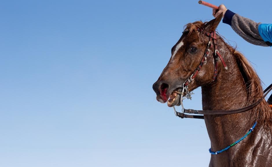 Lugares históricos que visitar en Kars (Turquía)